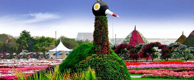 The World's Biggest and Unique Natural Flower Garden- Dubai's ...