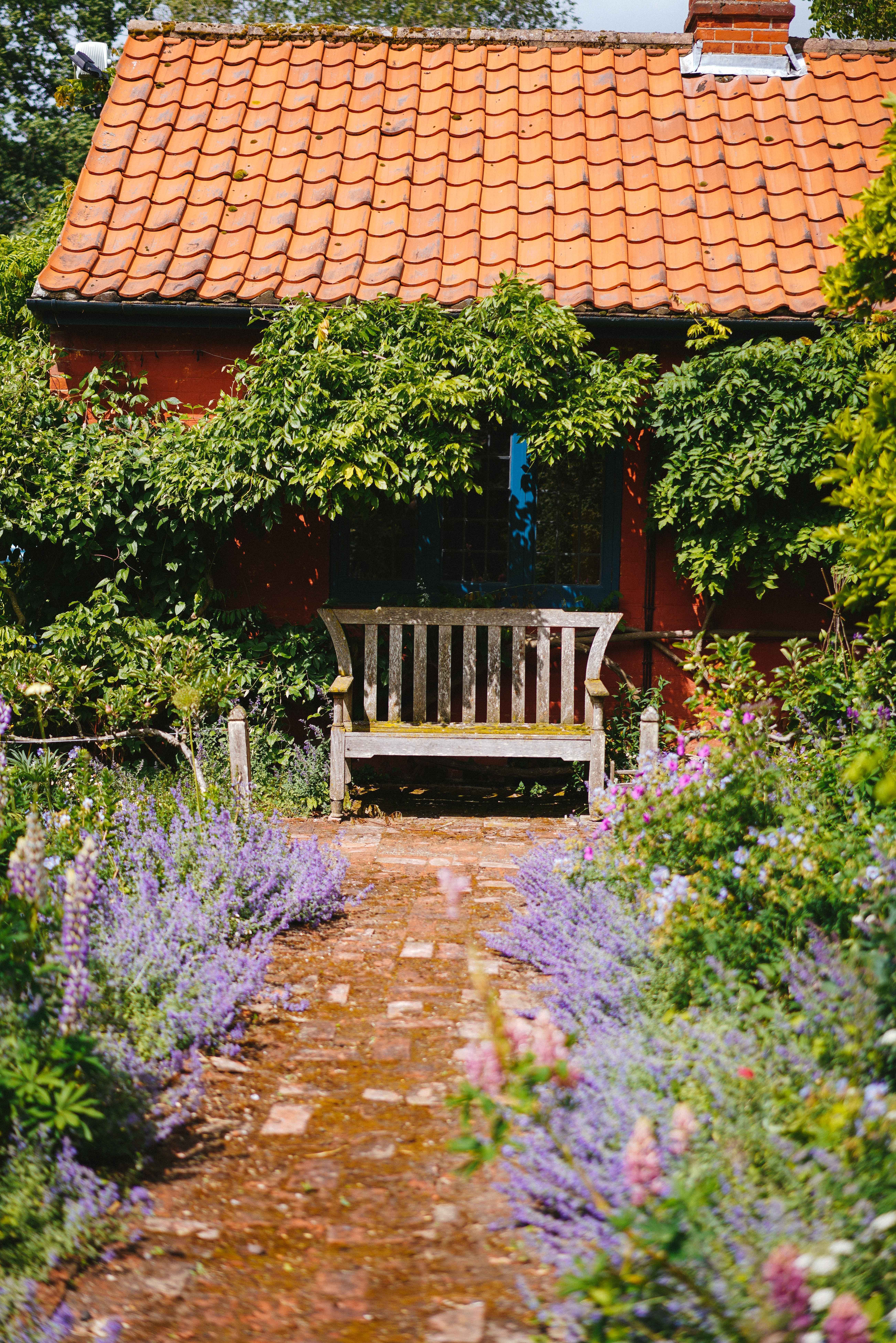 brown wooden bench near purple flowers