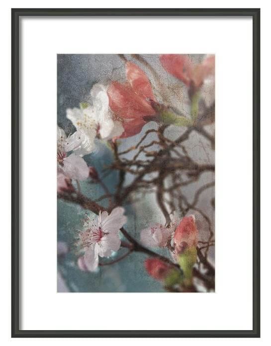 Original-Floral-Art-Prints-by-DueAlberi1