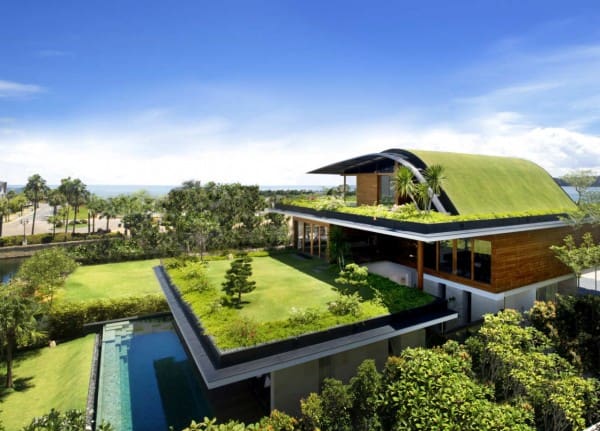 eco-friendly-roof-garden-house