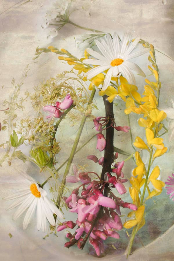 Original-Floral-Art-by-DueAlberi
