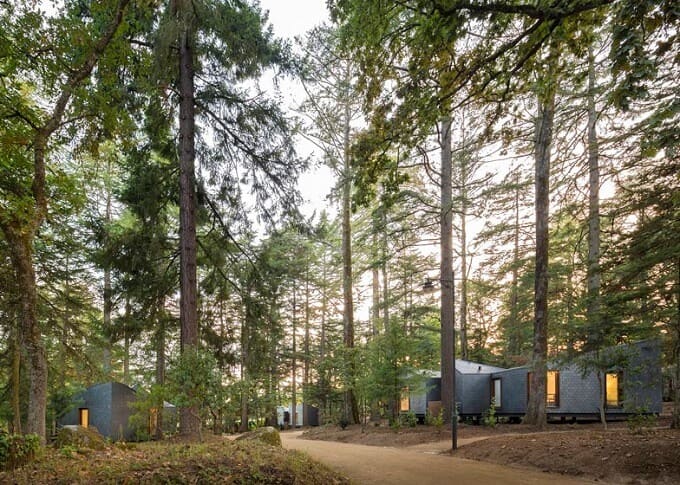 Eco-friendly-woodland-cabins-01