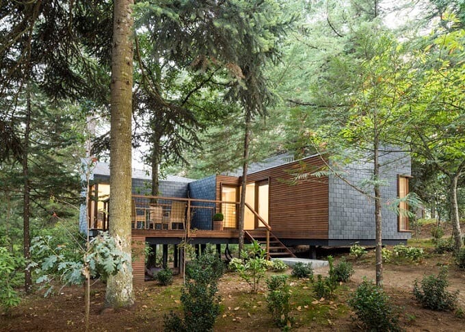 Eco-friendly-woodland-cabins