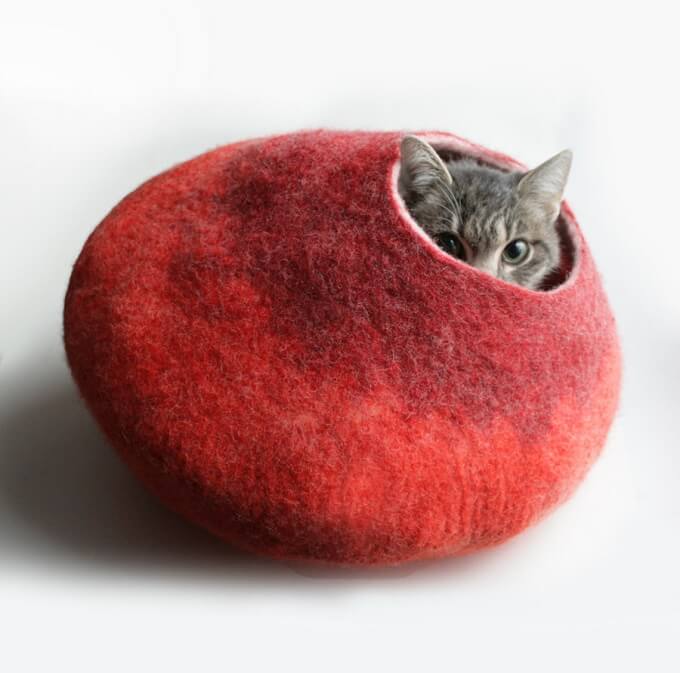 Red-cat-bubble