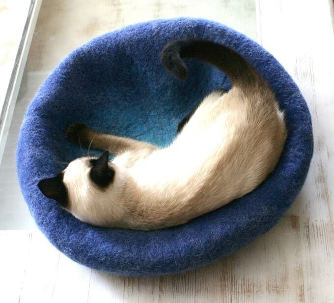 Teal-to-blue-cat-bed