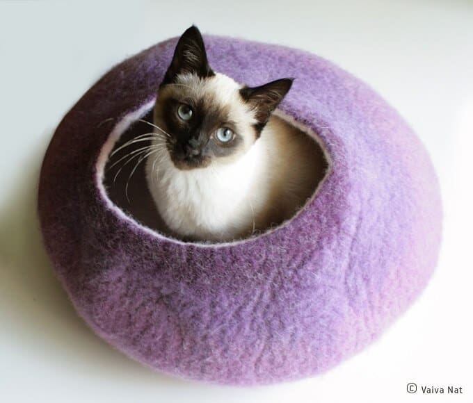 Warm-purple-cat-cocoon