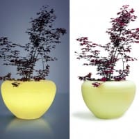 Unique Sustainable Flower Pot that Glows at Night by Julie Storm for Nola