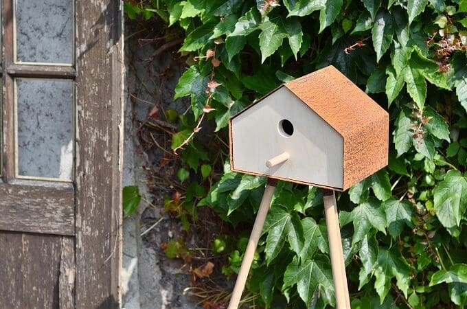 Wooden-birdhouse