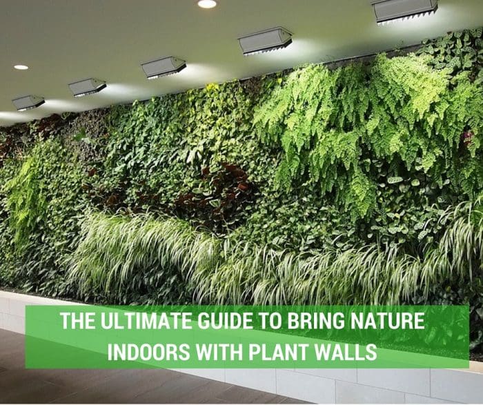 Plant-Walls