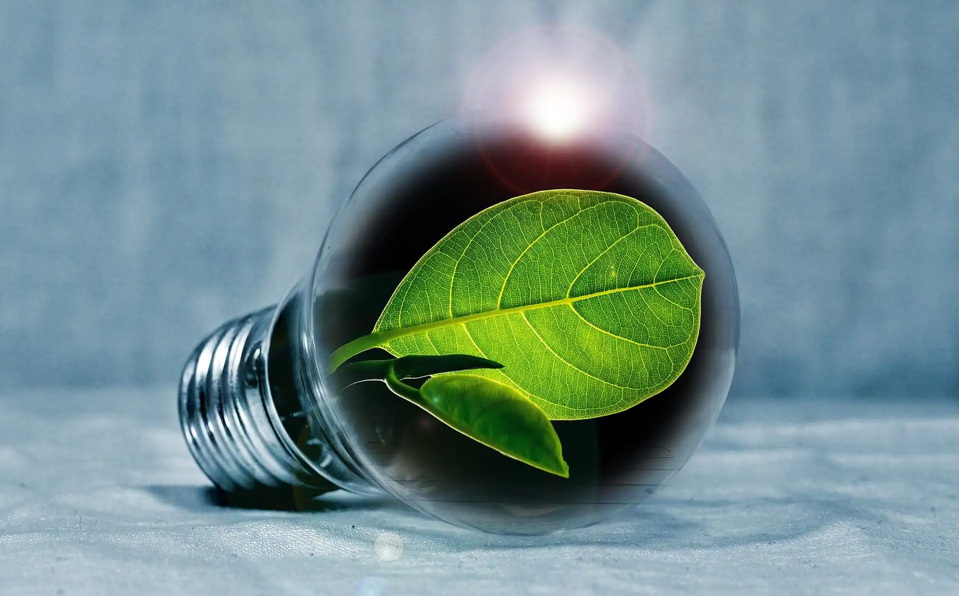4 Ways to Go Green and Save Energy
