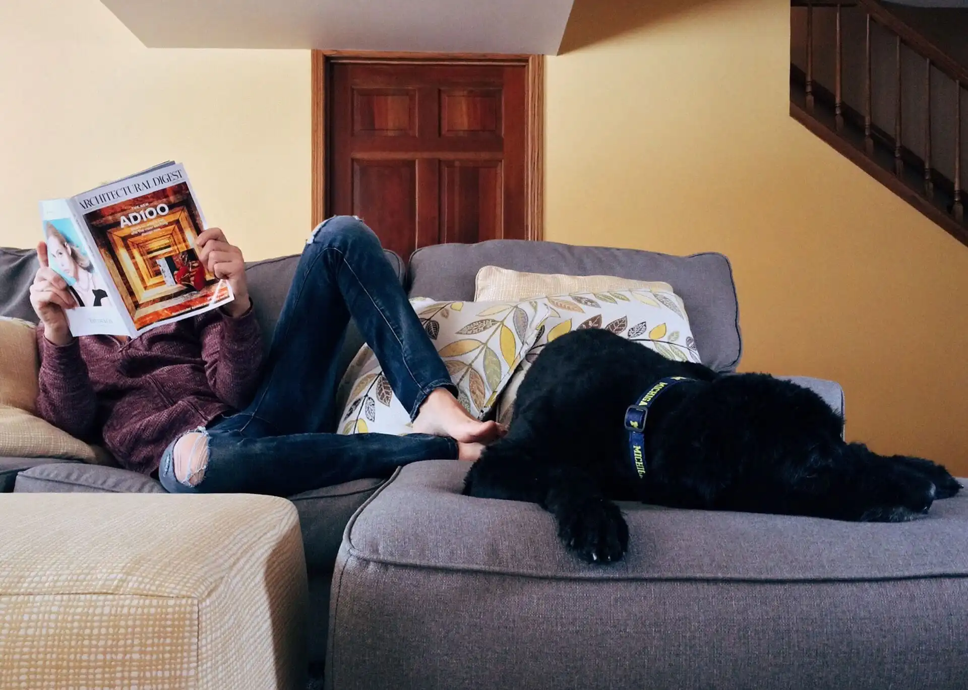 10 Solid Signs that Your Family is Ready for a Pet