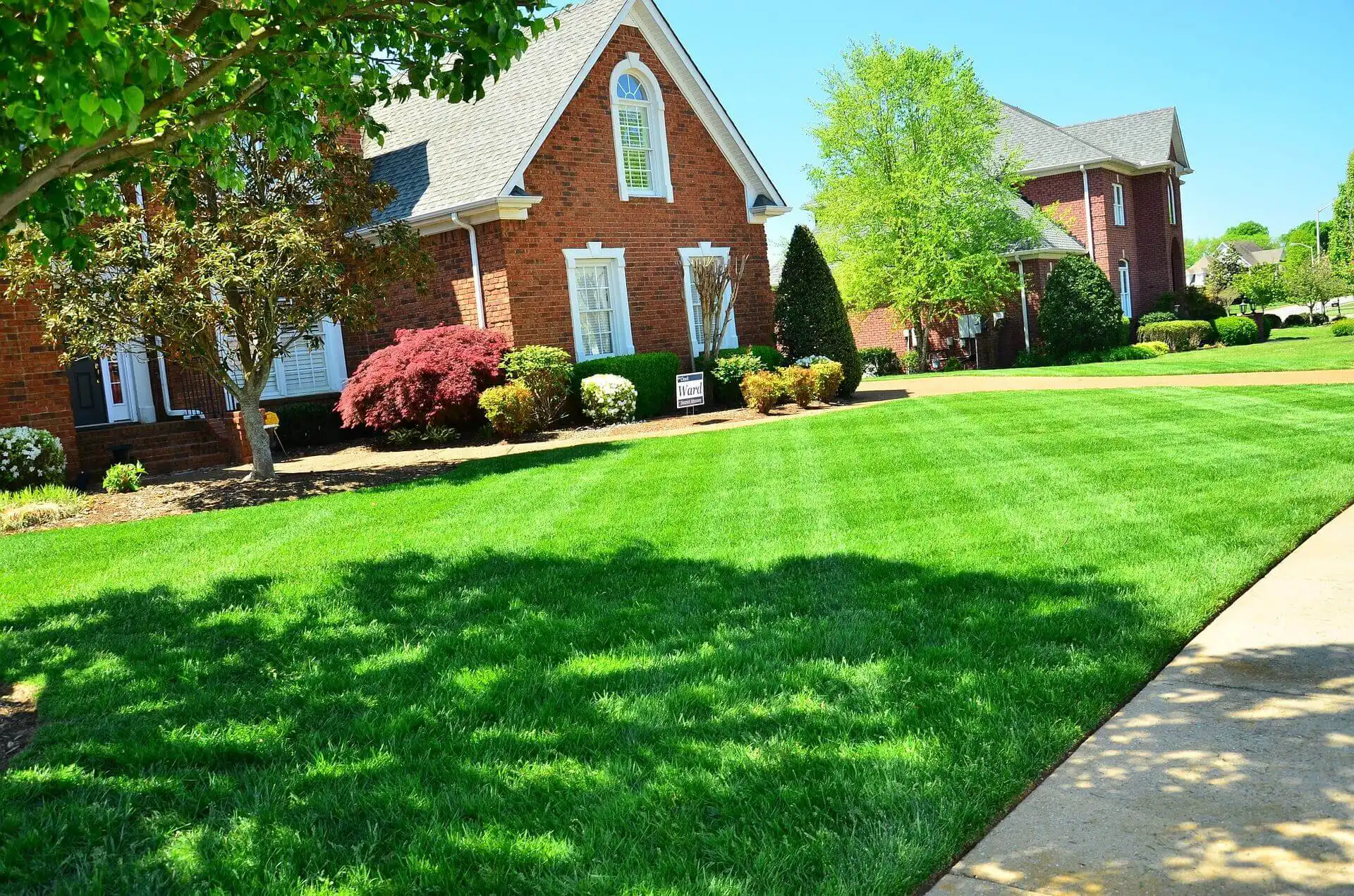 Summer Is Coming: What That Means for Your Lawn