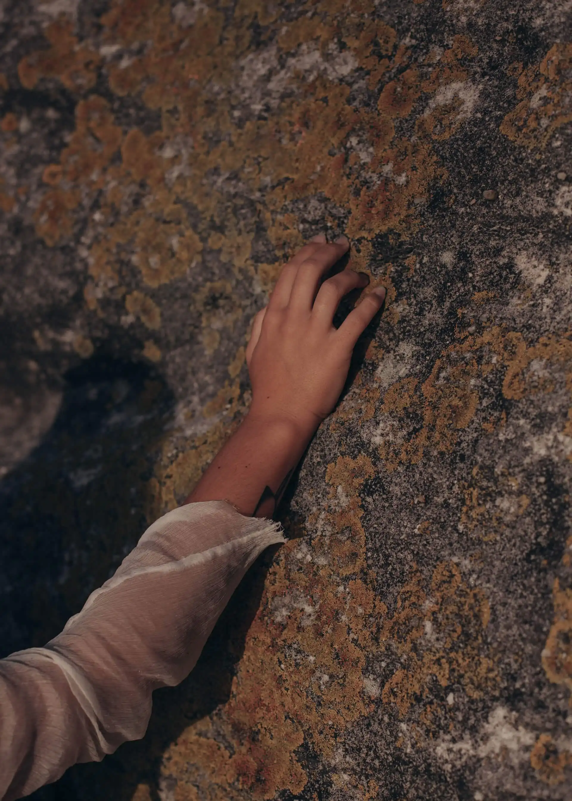 Allergic to Mold? What You Need to Know﻿