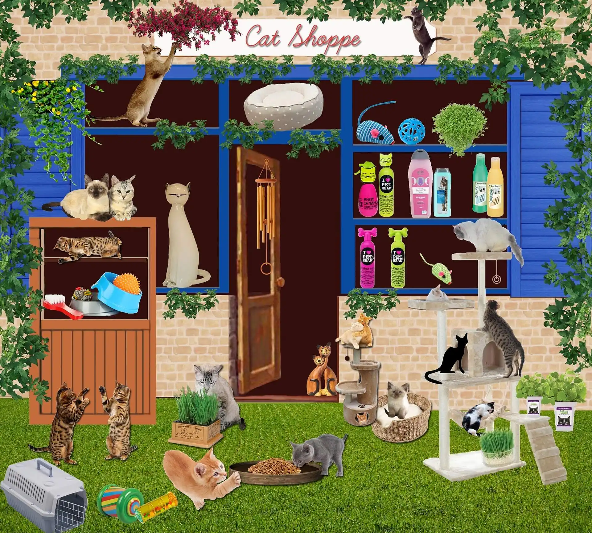 10 Amazing Products for Your Pet to Use at Home