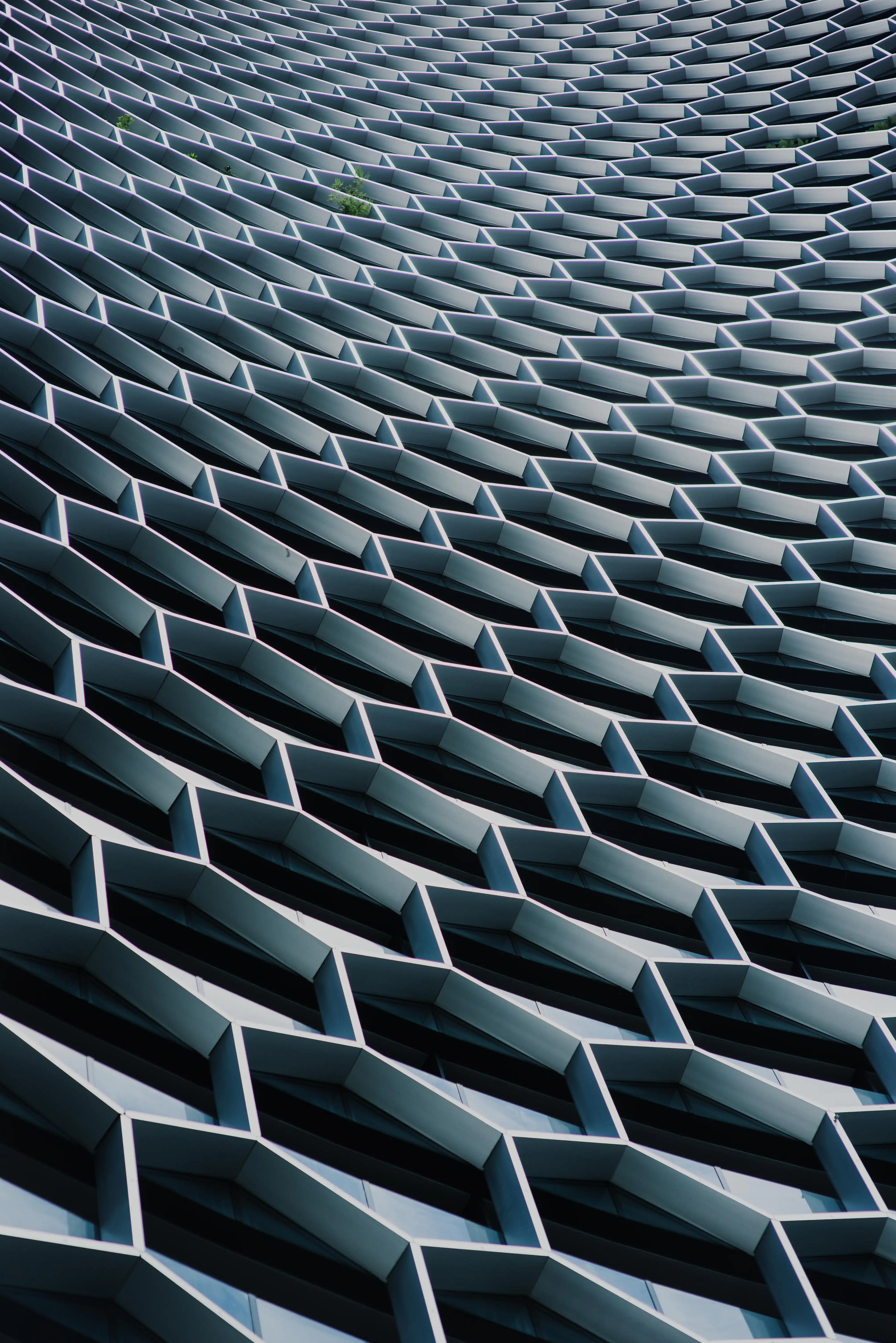 The Hottest Roofing Trends of 2019