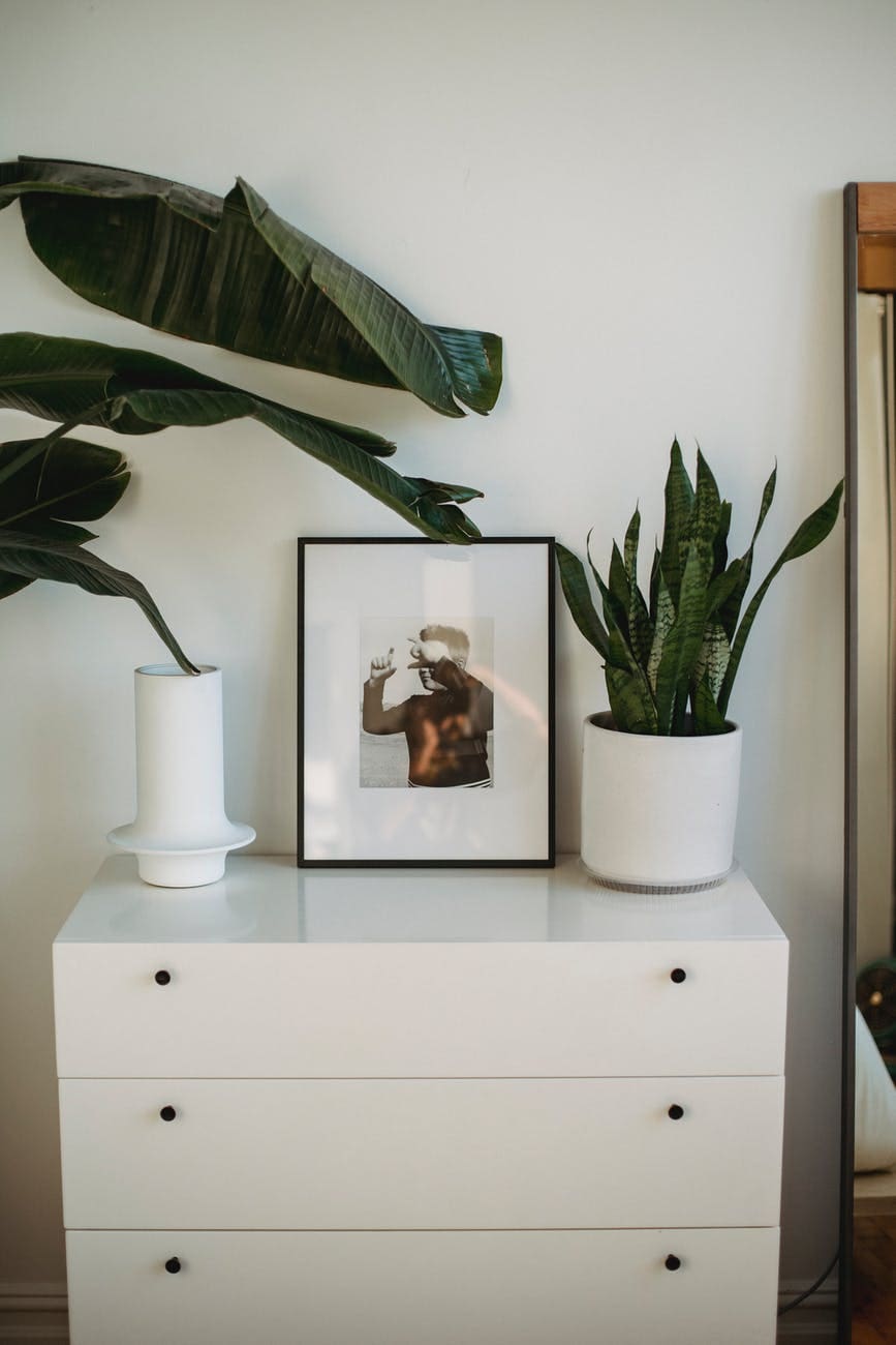 cabinet with framed picture and plants