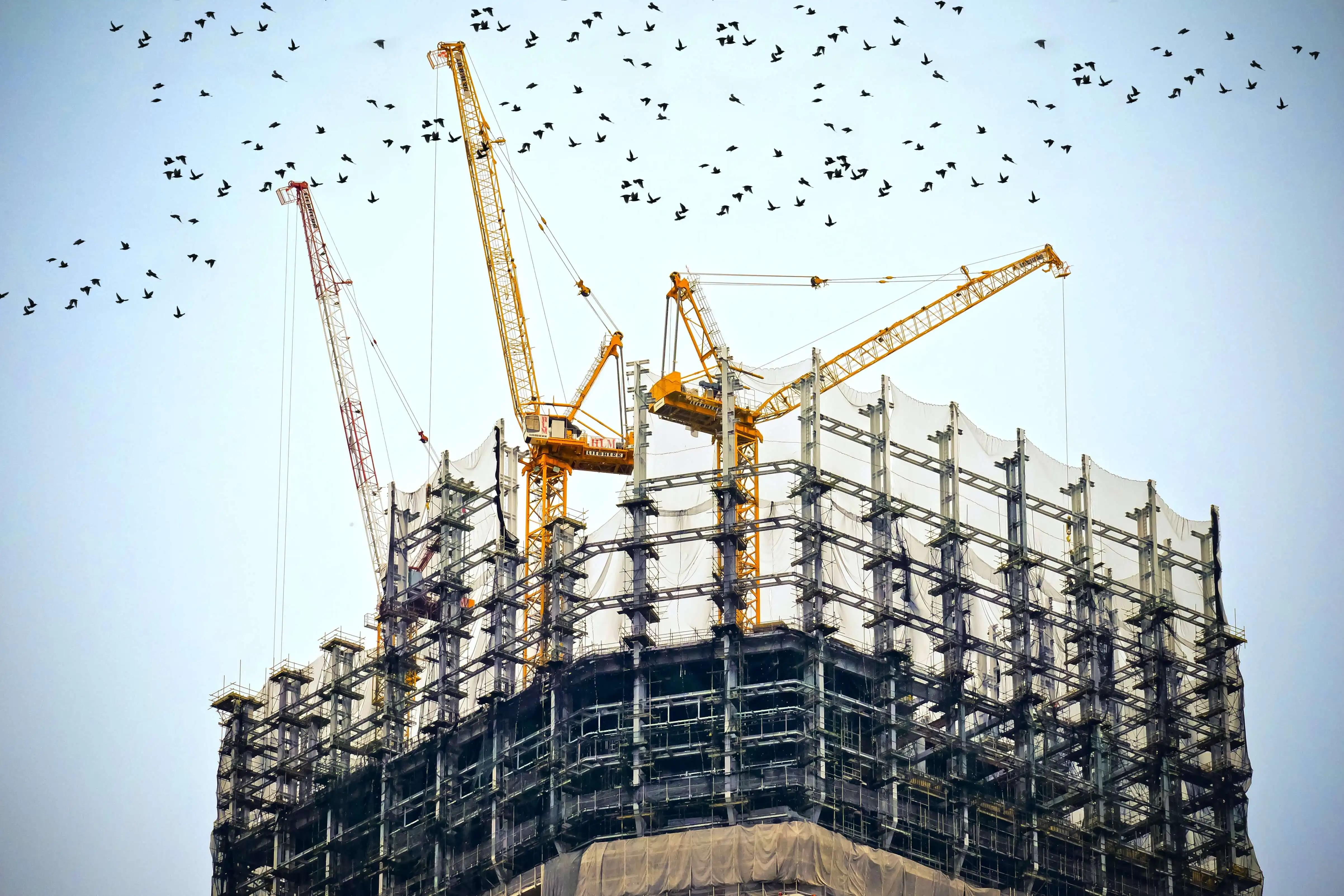 Economic Recovery Shaped by the Construction Industry