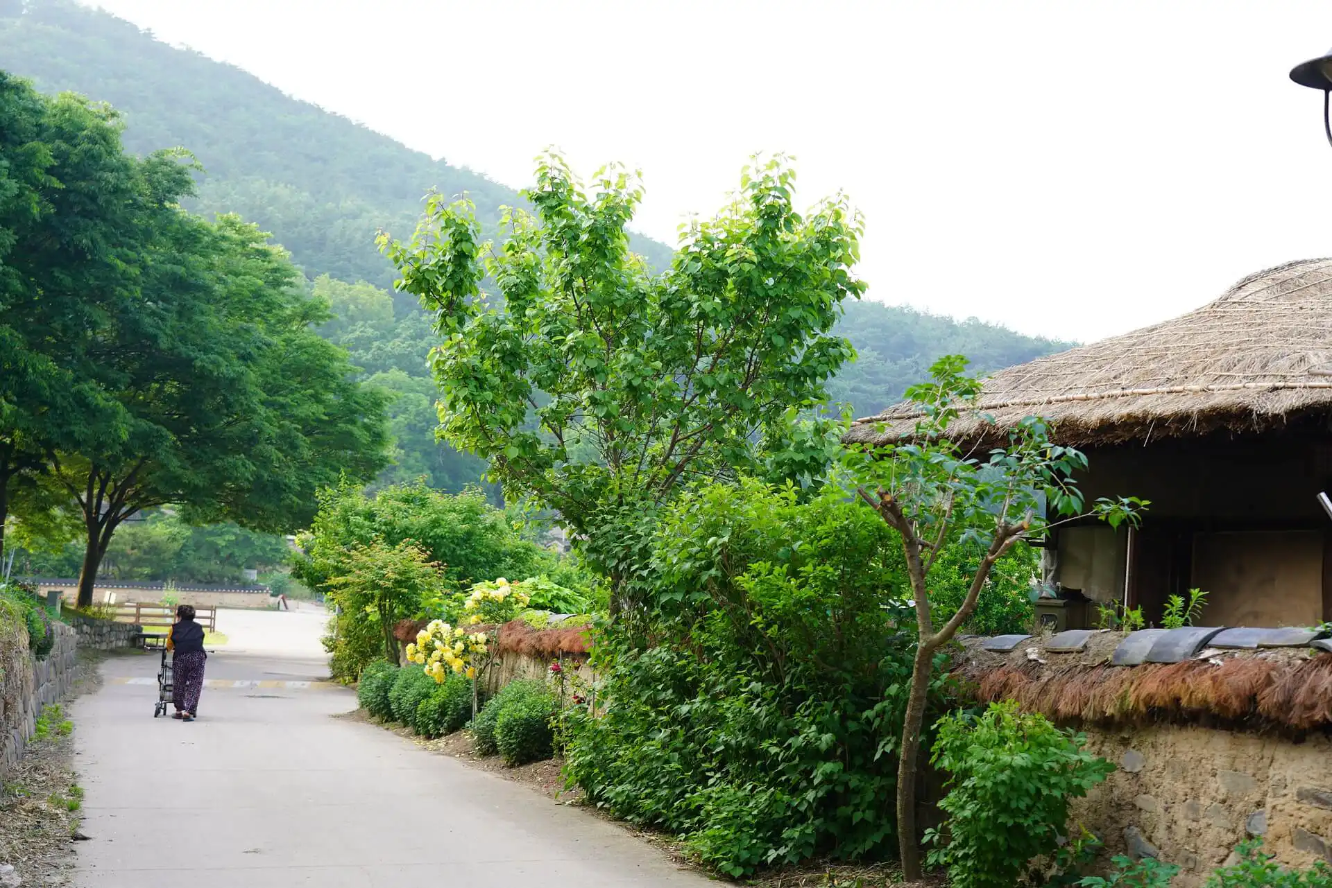 Spring Cleaning Checklist for End of Tenancy Cleaning