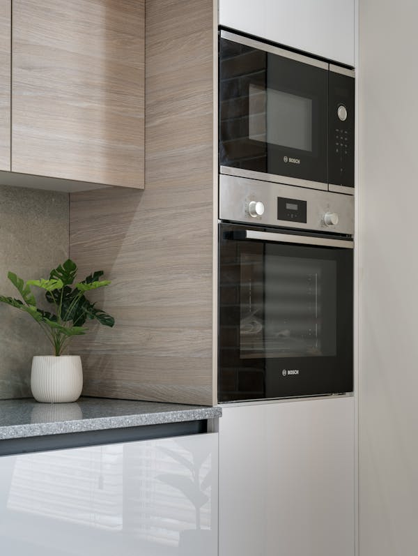 A sleek modern kitchen showcases built-in appliances with a chic plant accent on the countertop.