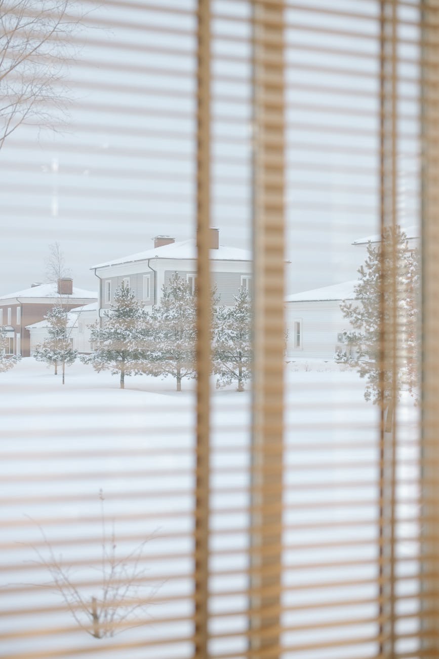 trees and buildings in snow behind window