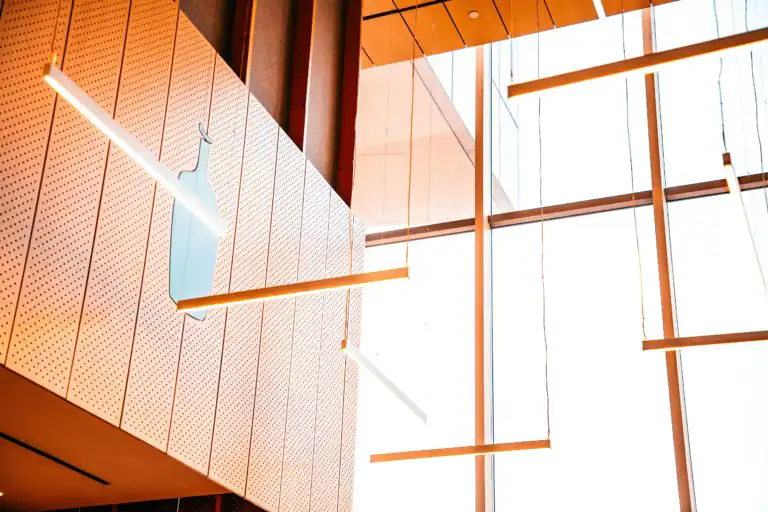 The Rise of Blue Bottle Coffee: A Specialty Coffee Icon