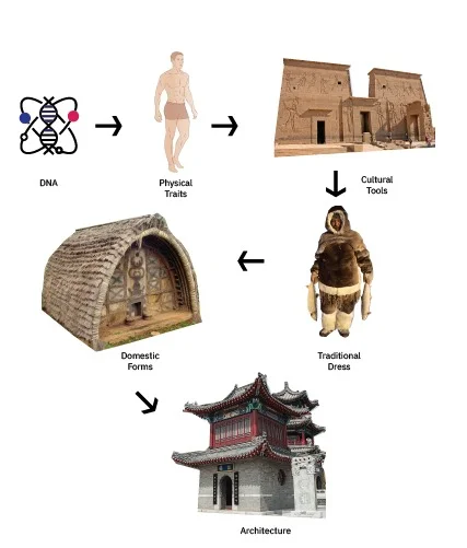 Comparative Aesthetics: The Architecture, Clothing, and Facial Symmetry Across Cultures