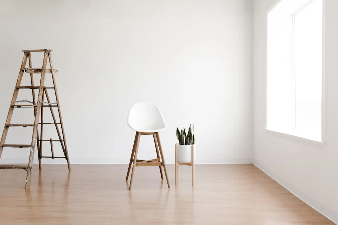 Minimalist white room with bar stool, snake plant on wooden stand, and rustic ladder against bare white wall