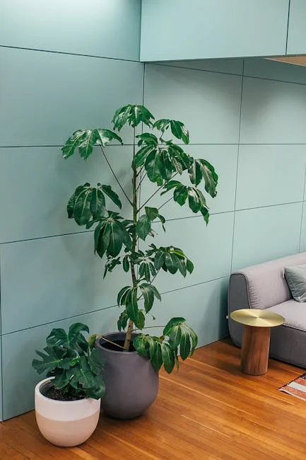 Tall umbrella plant in dark gray pot beside small monstera in pink pot against mint green tiled wall in modern interior