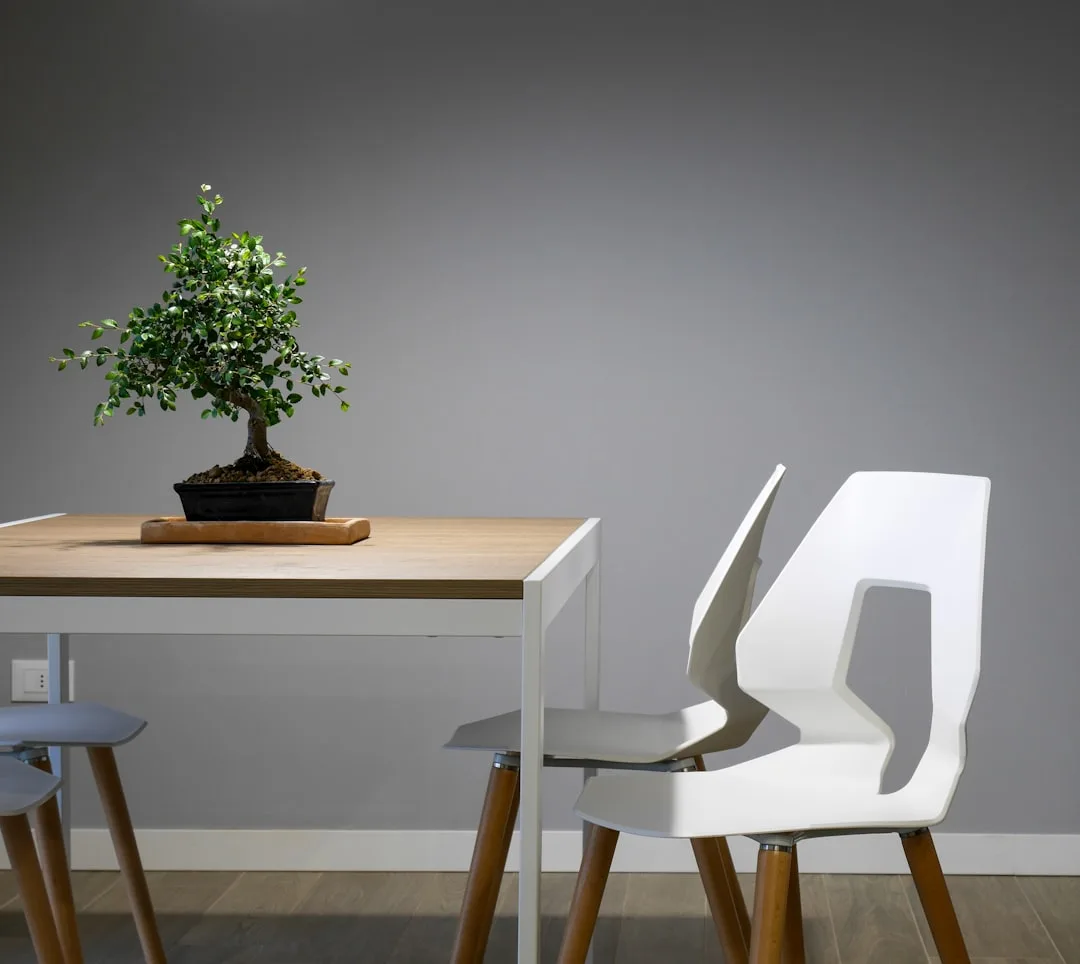 Small bonsai tree on wooden tray atop a minimalist dining table with modern white chair in a compact apartment