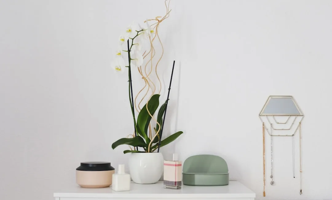 Japandi-style shelf with white orchid, ceramic bowls, green trinket box, and gold jewelry organizer on white surface
