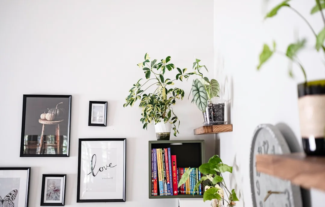 DIY floating wooden shelves in living room with pl