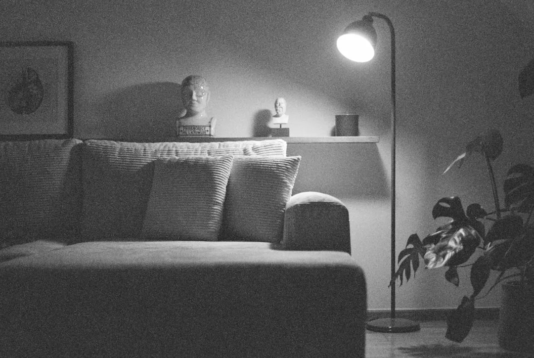 Floor lamp illuminating decorative bust sculptures on a shelf in a dimly lit living room