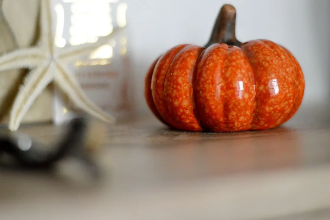 Small ceramic orange pumpkin decoration on wooden shelf alongside starfish for budget fall home decor