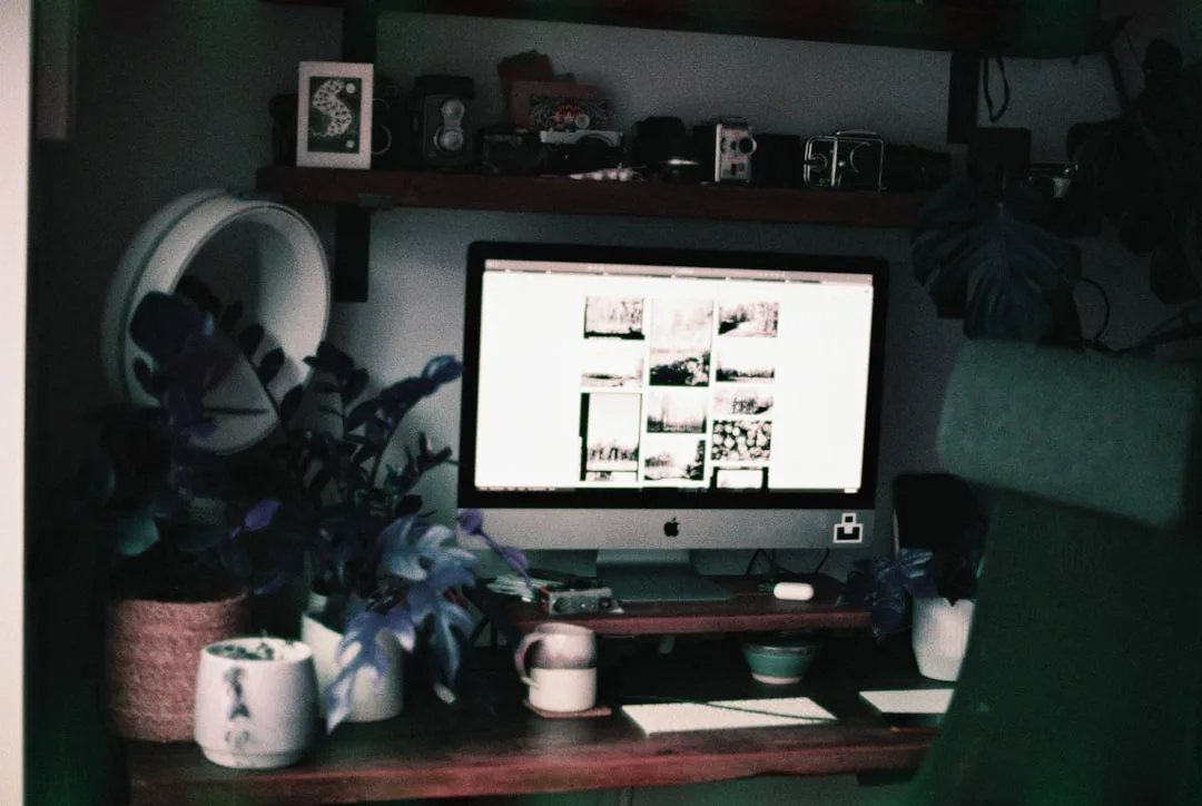Compact closet home office with iMac, wooden floating desk, plants, and vintage camera shelf above