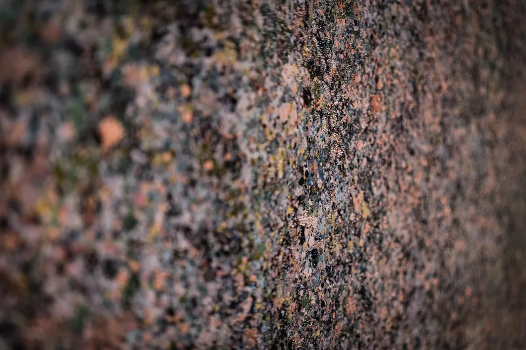 Close-up macro shot of natural granite surface texture showing multicolored speckled pattern with lichen growth