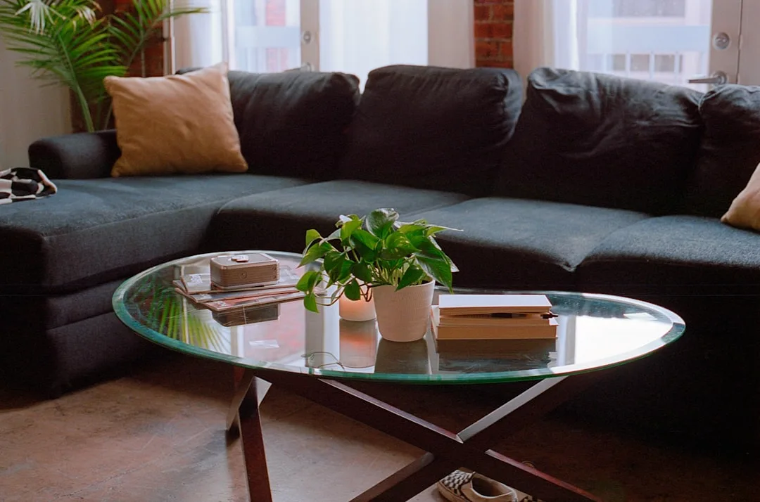 Glass oval coffee table positioned close to dark sectional sofa in modern living room with books and plant on top