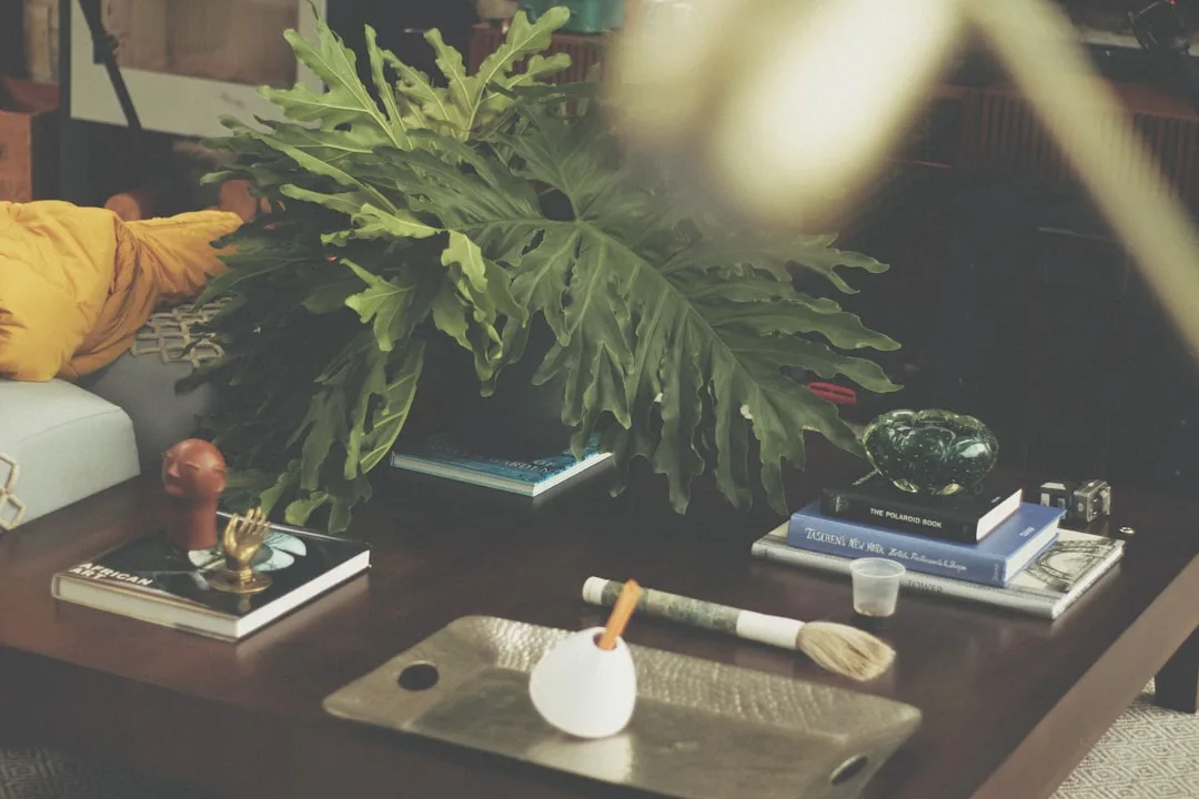 Curated dark coffee table with books, plant, sculptural objects and artisan tools styled for moody interior aesthetic