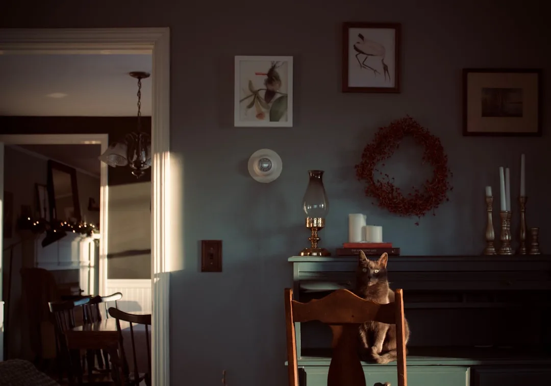 Dark moody living room with textured walls, wreath, candles, oil lamp and black cat on wooden chair