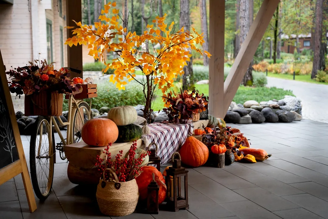 Elegant fall porch decor with orange pumpkins, yellow autumn tree, wicker baskets, and vintage bicycle displaying cohesi