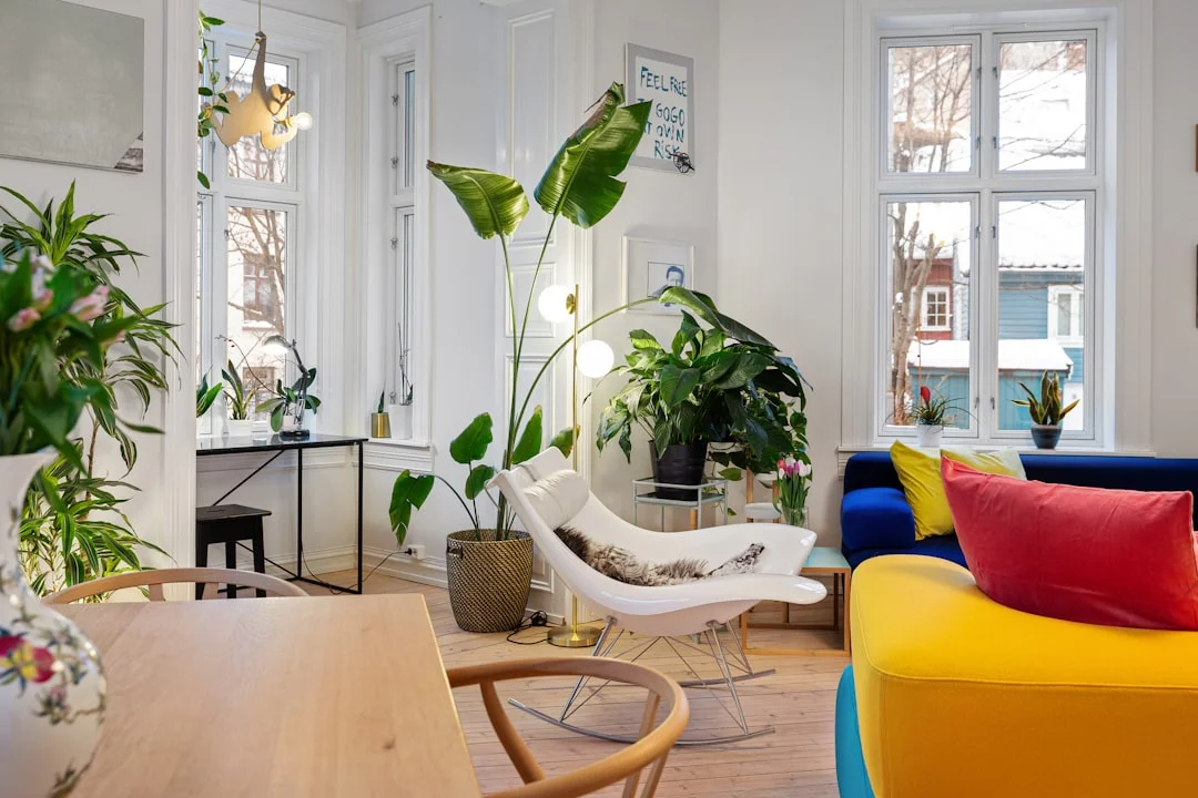 Bright Scandinavian living room with tropical houseplants, colorful sofas and natural light