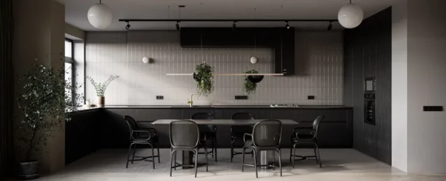 Modern dark aesthetic kitchen with black cabinetry