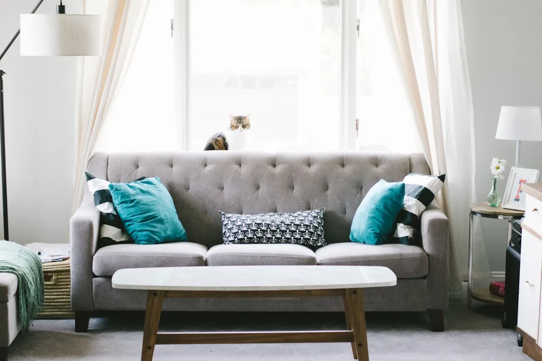 Gray tufted sofa with teal and patterned cushions in a bright living room with coffee table