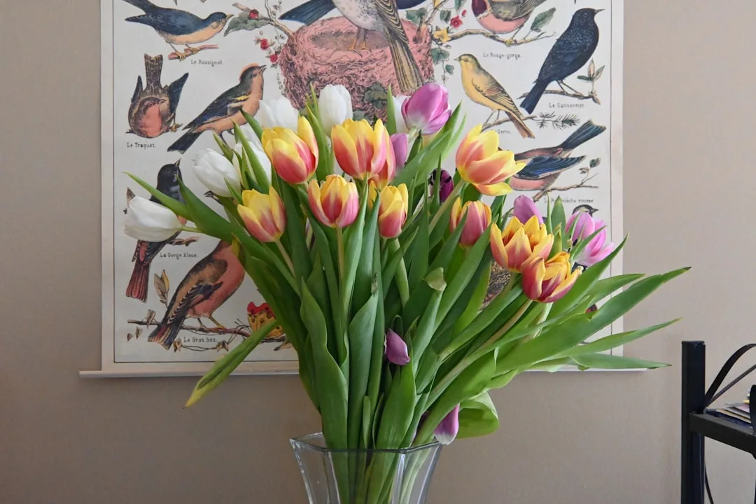 Colorful spring tulips in glass vase with vintage