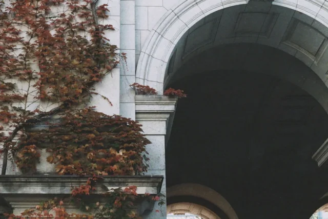 Stone building archway with autumn red ivy climbin