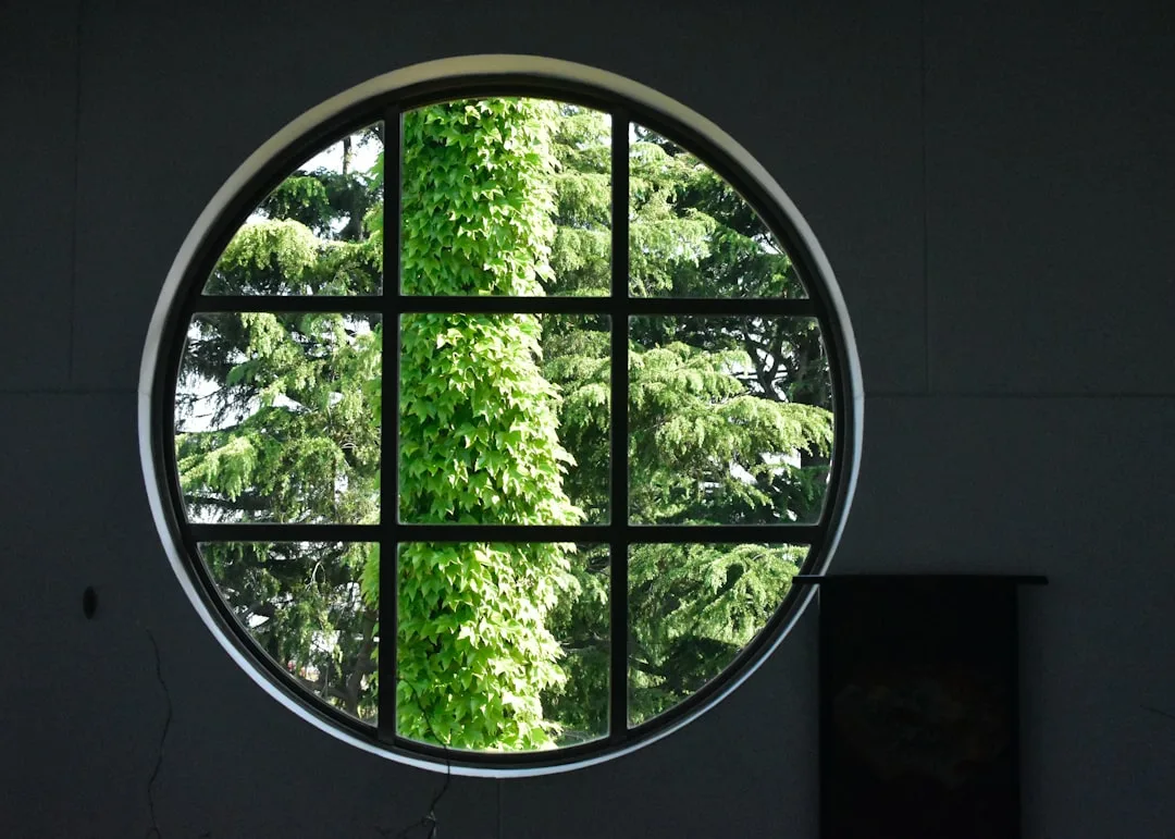 Round circular window with dark frame framing lush green ivy-covered trees, bringing nature indoors through architectura