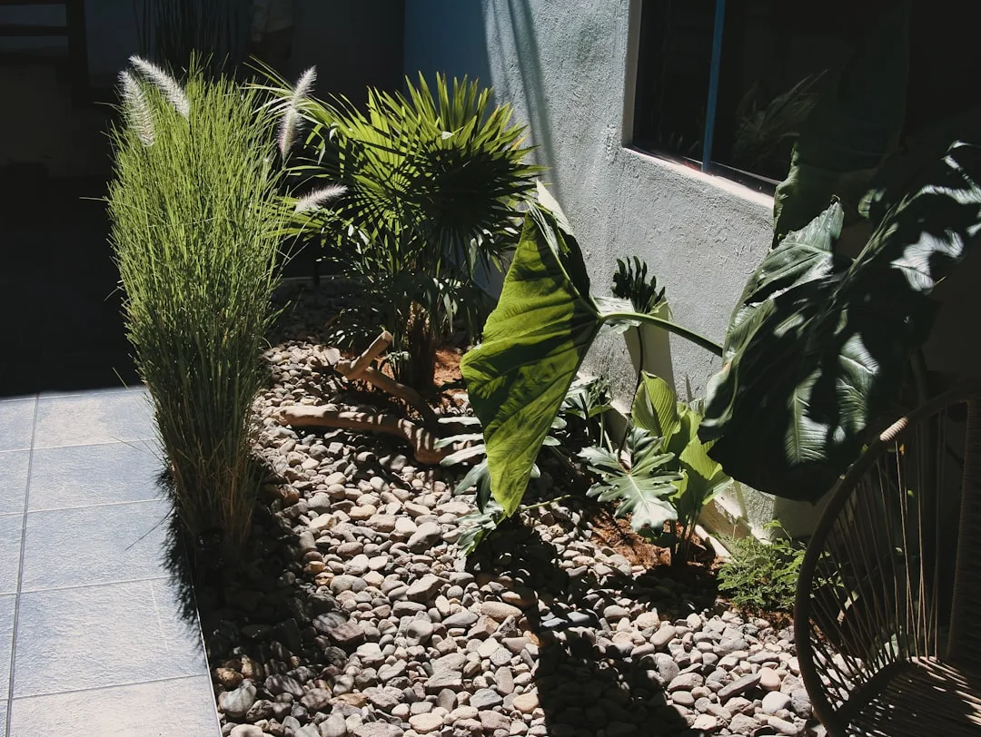 Low-maintenance xeriscape garden with ornamental grasses, tropical plants, and river rocks beside tiled patio