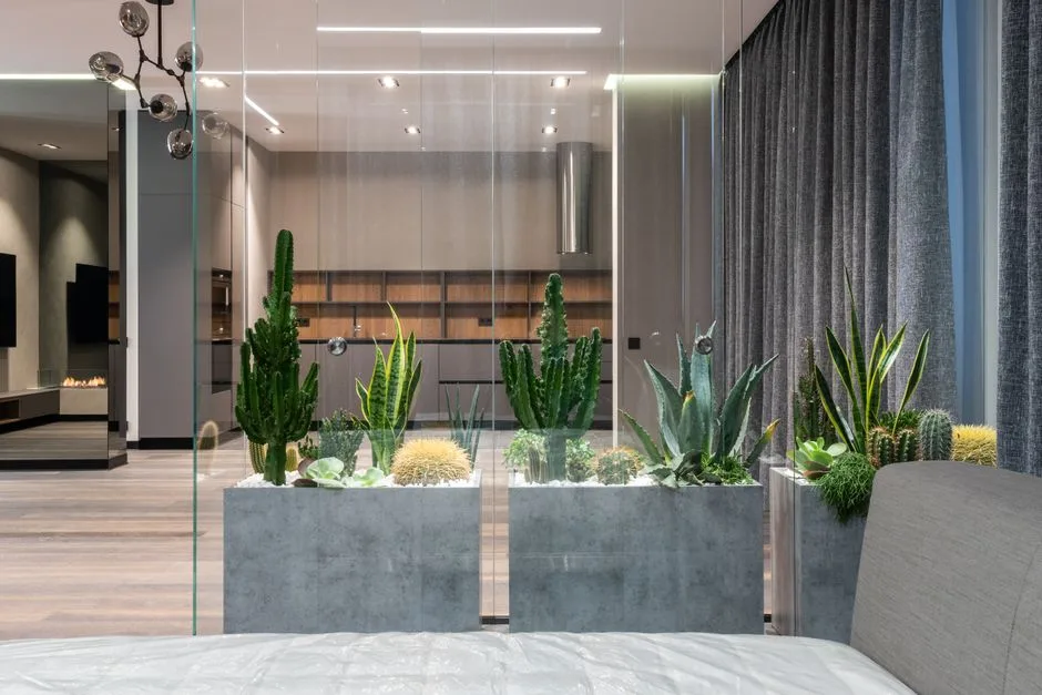 Glass and concrete planted room divider with cacti and succulents separating bedroom from open-plan living space