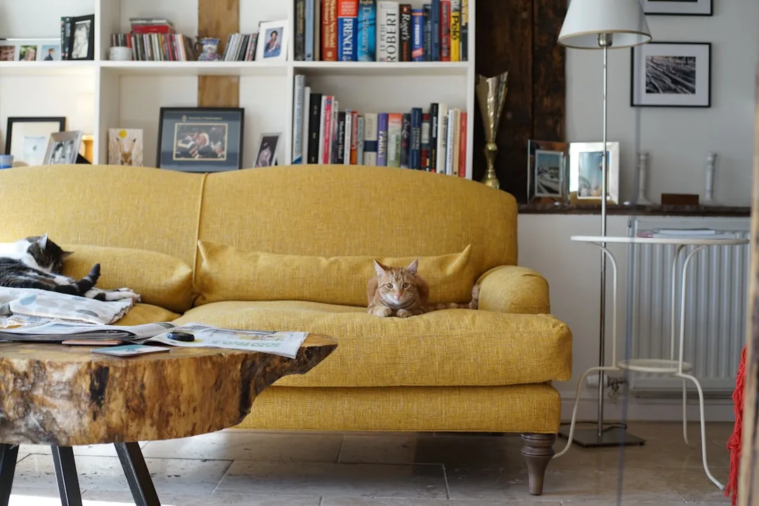 Arc floor lamp placed behind yellow mustard sofa in cozy living room with bookshelf and wood coffee table