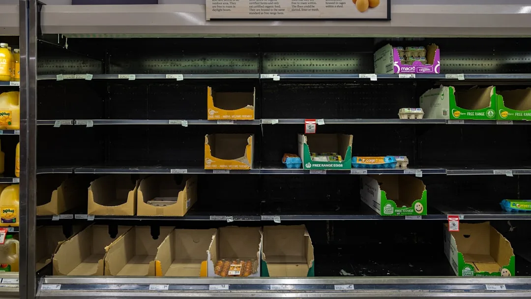 Nearly empty supermarket egg shelves with sparse cardboard display bins showing poor deep-shelf container organization s