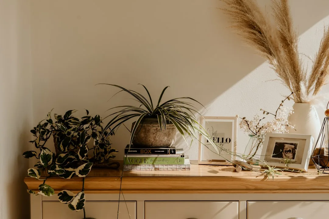 Styled wooden dresser with DIY boho decor including pampas grass, potted plants, framed art and coffee table books